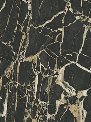 Carrara3