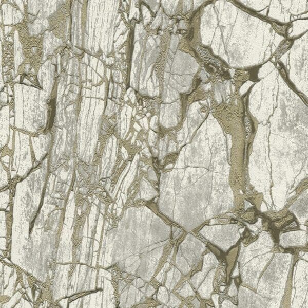 Carrara3