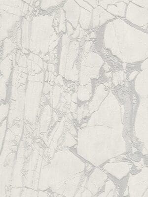 Carrara3