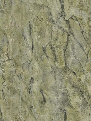 Carrara3