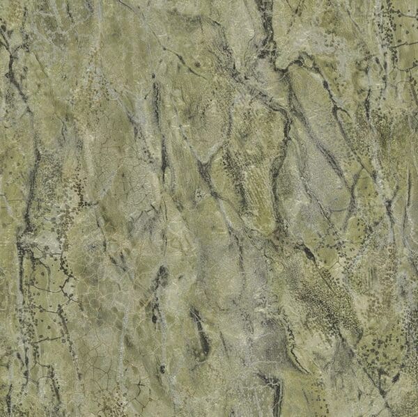 Carrara3