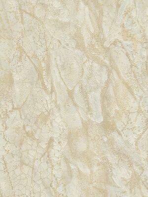Carrara3