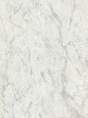Carrara3