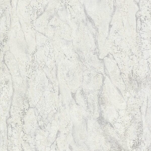 Carrara3