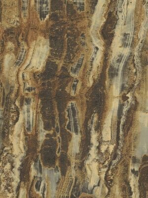 Carrara3