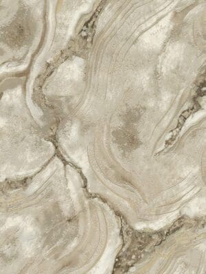 Carrara3