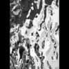 crinkle1 New Wave Water Ripple
